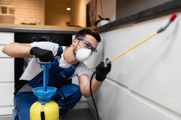 Best Flea Control Services  in New Haven, MO