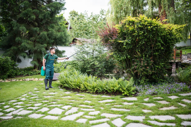 Best Pest Prevention Services  in New Haven, MO