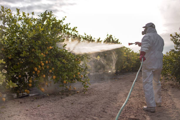 Best Affordable Pest Control Services  in New Haven, MO