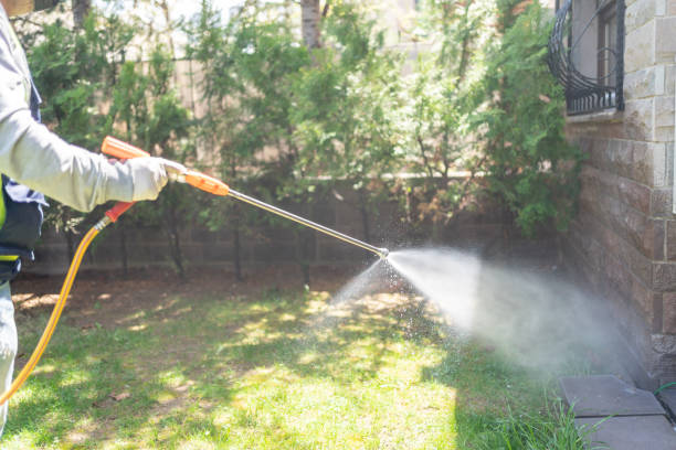 Professional Pest Control in New Haven, MO