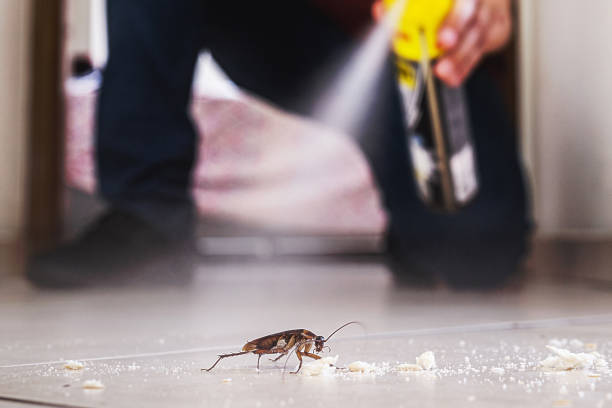 Best Wildlife Control Services  in New Haven, MO
