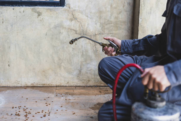 Best Best Pest Control Companies  in New Haven, MO